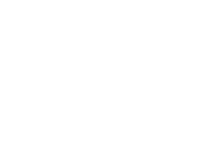 Logo Parana Beyaz